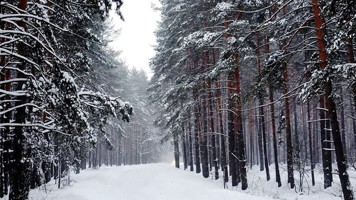 Погода 14 декабря 2018 Украина: прогноз погоды от синоптиков