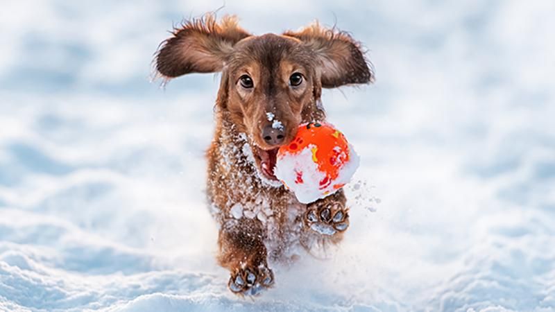 Прогноз погоды в Украине на 17 декабря Прогноз погоды в Украине на 17 декабря