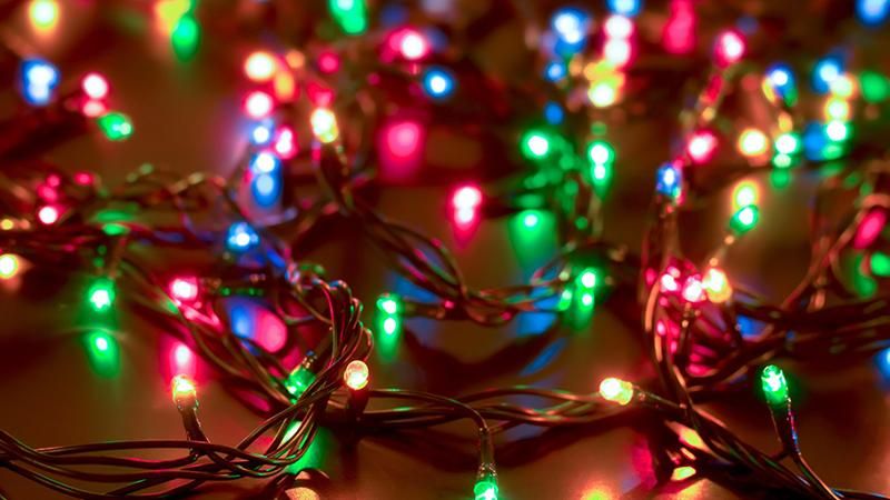 На Одещині поліція шукає крадія, який поцупив гірлянду з головної ялинки міста На Одещині поліція шукає крадія, який поцупив гірлянду з головної ялинки міста