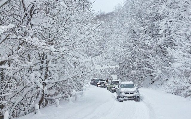 Хуртовини та ожеледиця: рятувальники попередили про потужну негоду на Тернопільщині Хуртовини та ожеледиця: рятувальники попередили про потужну негоду на Тернопільщині