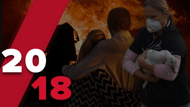 Стихійні лиха, що сколихнули світ у 2018 році: нищівні пожежі, землетруси, повені Стихійні лиха, що сколихнули світ у 2018 році: нищівні пожежі, землетруси, повені