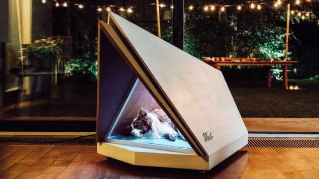 Ford показала розумну будку для собак: для чого вона потрібна Ford показала розумну будку для собак: для чого вона потрібна