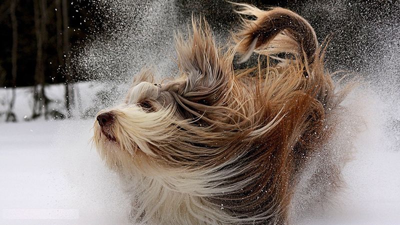 Погода 20 грудня 2018 Україна - яку погоду обіцяє синоптик Погода 20 грудня 2018 Україна - яку погоду обіцяє синоптик