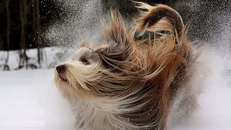 Погода 20 декабря 2018 Украина - прогноз погоды от синоптика