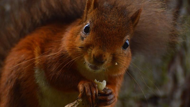 Погода 25 декабря 2018 - прогноз на Католическое Рождество 2018 Погода 25 декабря 2018 - прогноз на Католическое Рождество 2018