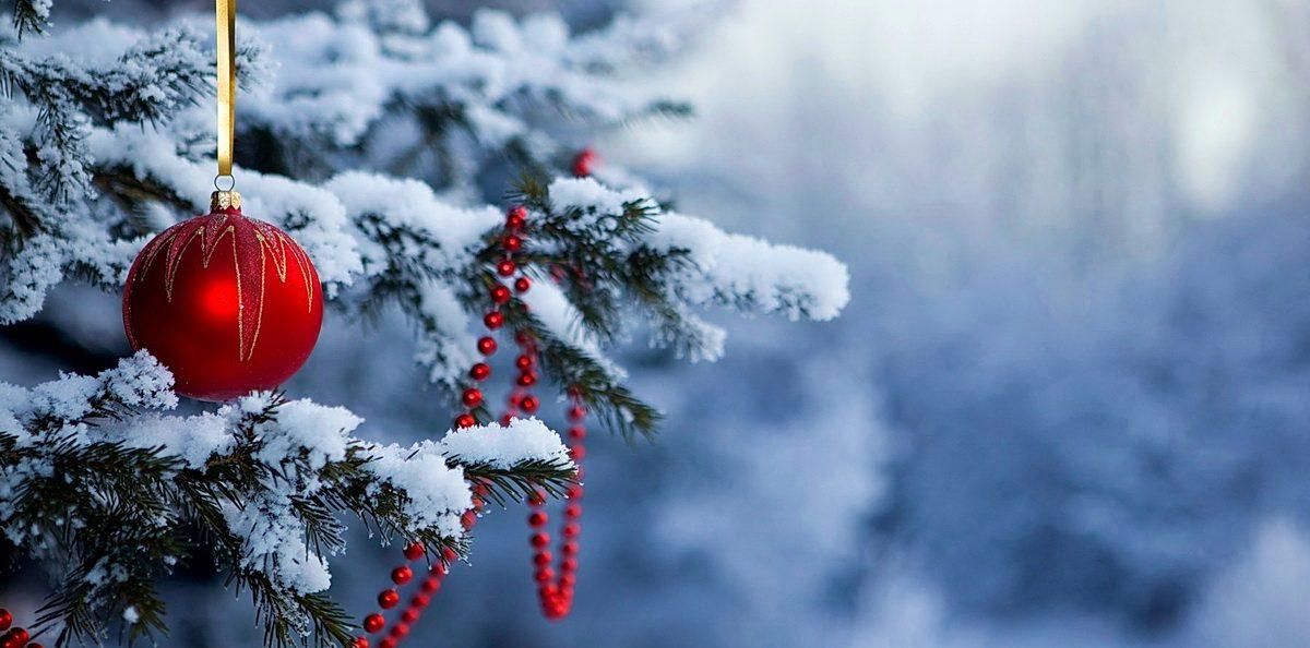 Харьков замело снегом, а Карпаты ожидают схода лавин: какой будет погода на Новый год