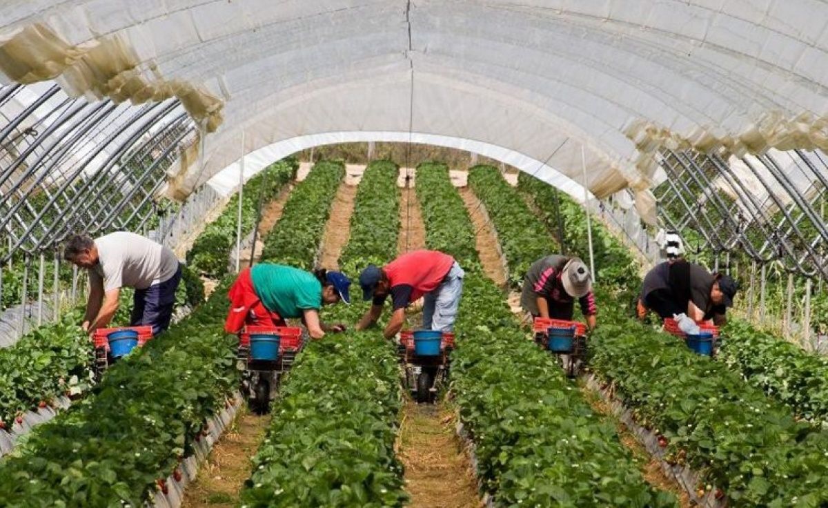 У міністерстві соцполітики порахували, скільки українців працює за кордоном У міністерстві соцполітики порахували, скільки українців працює за кордоном