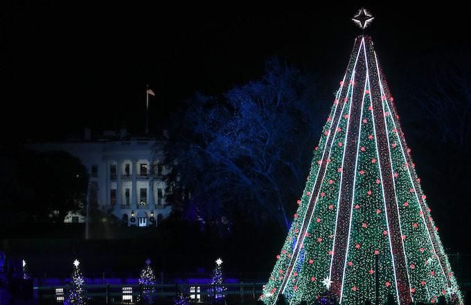 В США мужчина взобрался на Рождественскую елку перед Белым домом: полиция вела с ним переговоры