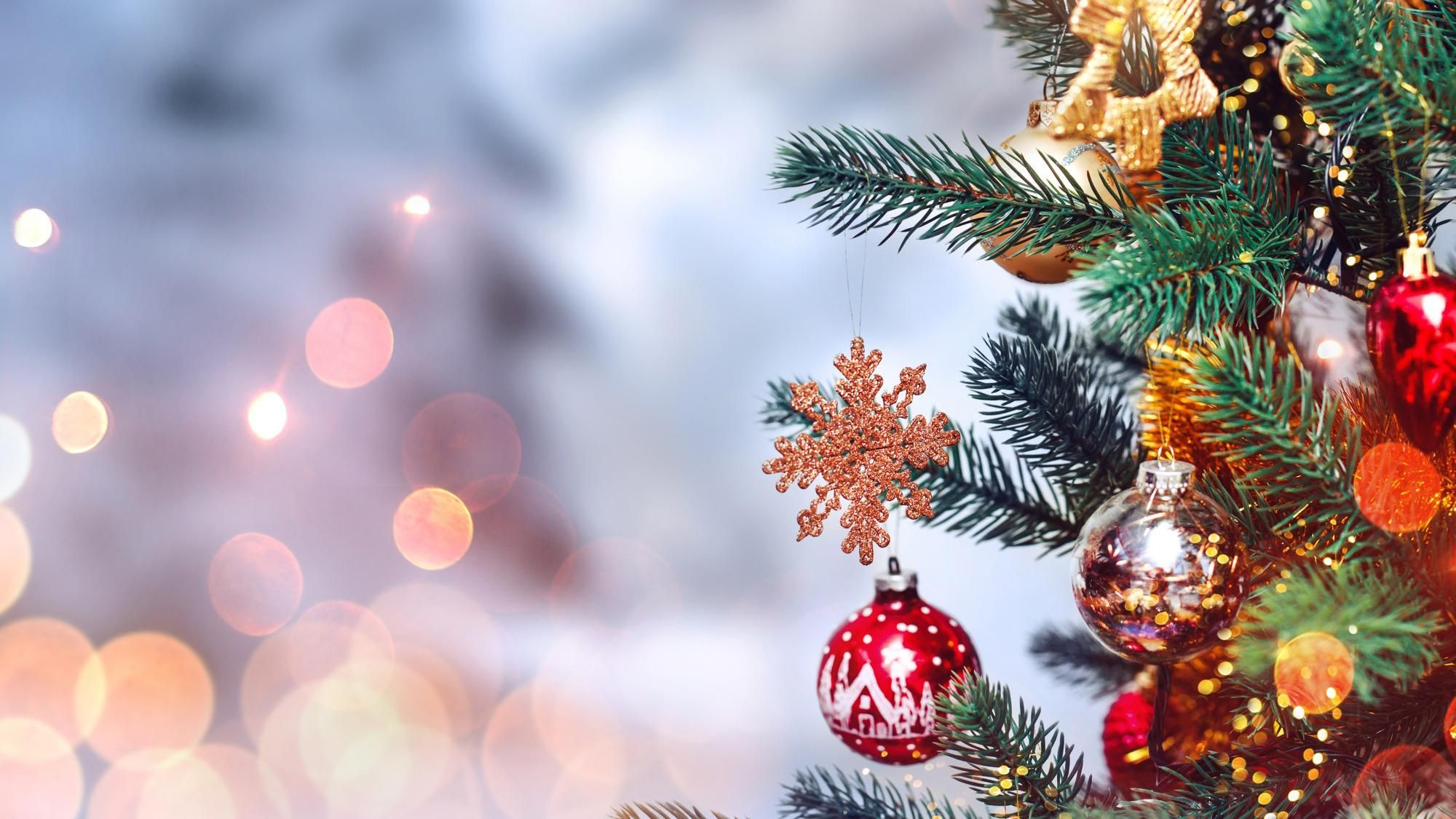 Чи потішить погода жителів України на католицьке Різдво Чи потішить погода жителів України на католицьке Різдво