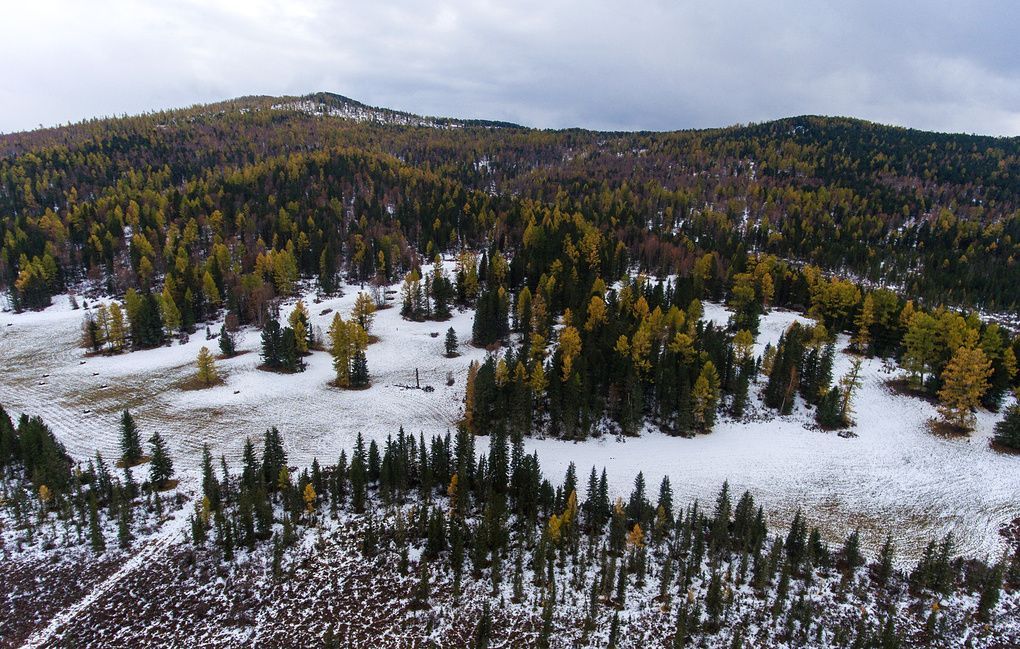 "Йшов назад по слідах снігоходу": у Росії трирічна дитина самостійно вибралась із тайги "Йшов назад по слідах снігоходу": у Росії трирічна дитина самостійно вибралась із тайги
