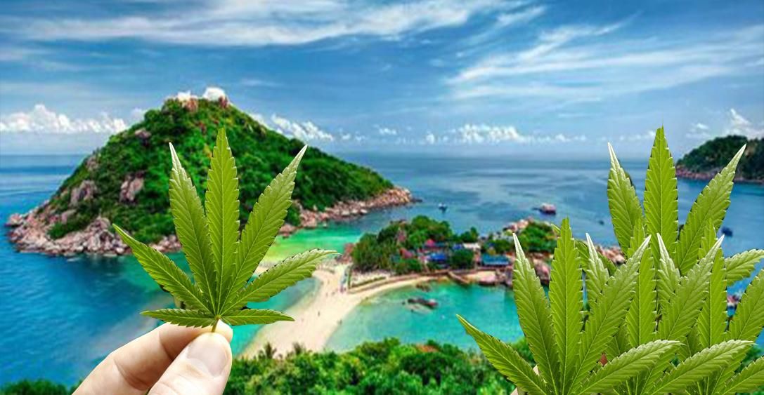 Ще одна країна легалізувала марихуану - 25 грудня 2018 - Телеканал новин 24