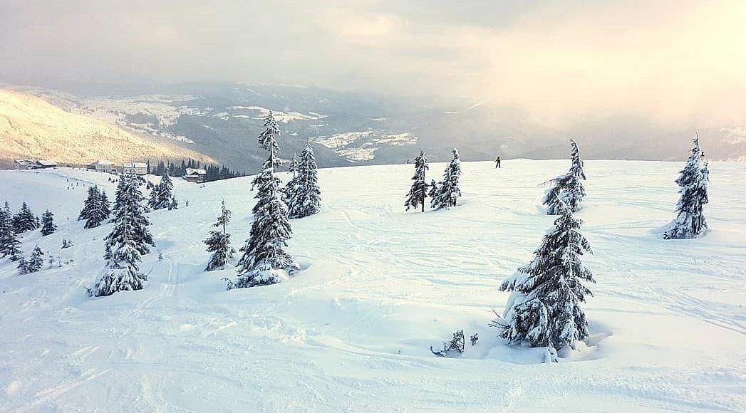 У Карпатах насипало понад метр снігу: неймовірні фото та відео У Карпатах насипало понад метр снігу: неймовірні фото та відео