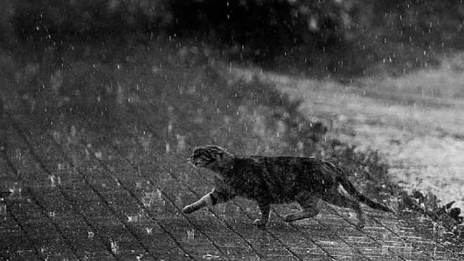 Погода 28 грудня 2018 Україна - прогноз погоди від синоптика Погода 28 грудня 2018 Україна - прогноз погоди від синоптика