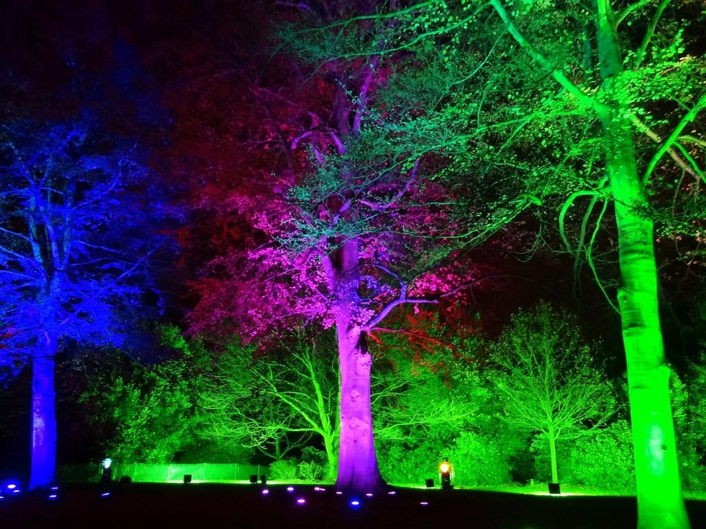 ботанічний сад лондон ботанічний сад лондон