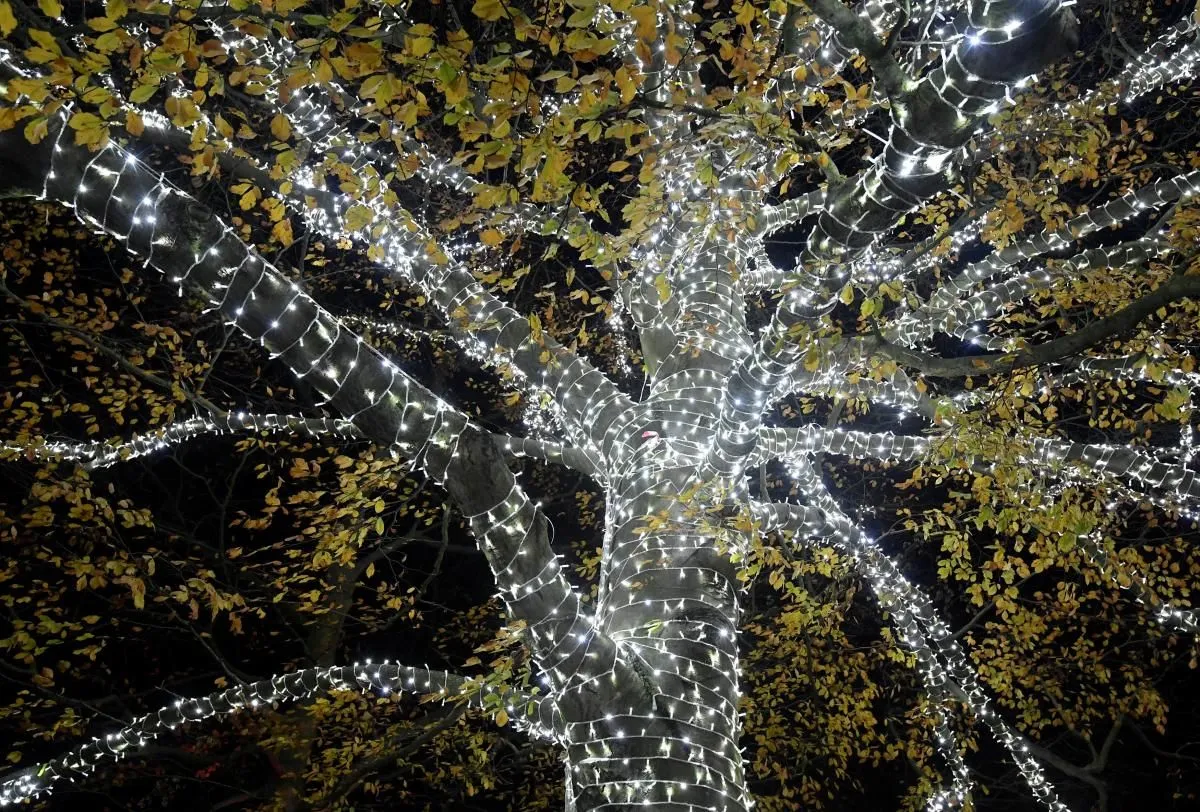 лондон лондон