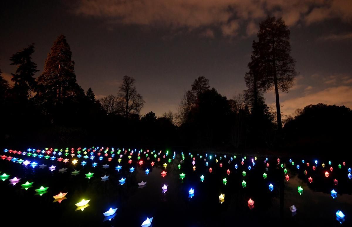 Ботанический сад Лондона засиял праздничными огнями: захватывающие фото и видео