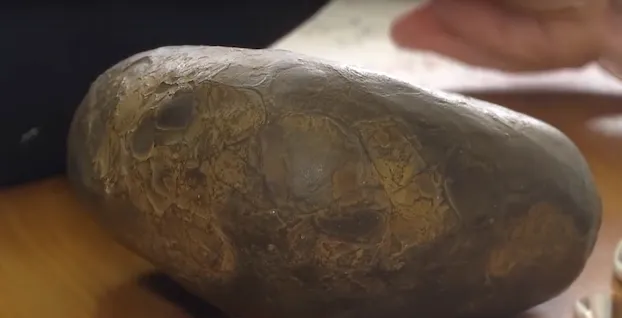 Метеорит у Карпатах Метеорит у Карпатах