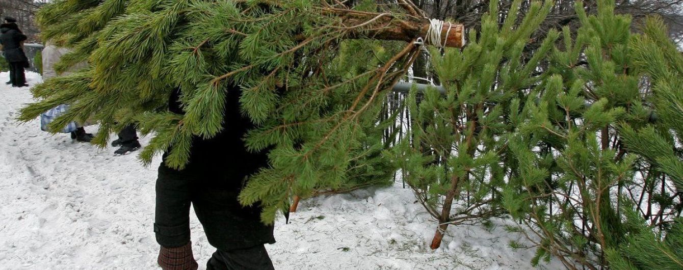 У Києві запрацювали пункти приймання новорічних ялинок