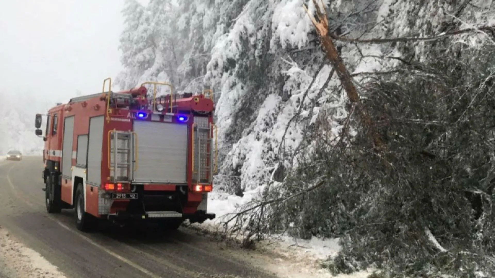негода Закарпаття сніг негода Закарпаття сніг
