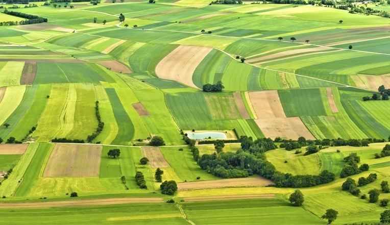 Скільки держава заробила на аукціонах з оренди землі у 2018 році: інфографіка