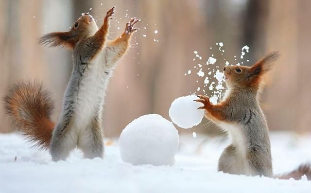 Погода 5 января 2019 Украина - прогноз погоды от синоптика Погода 5 января 2019 Украина - прогноз погоды от синоптика