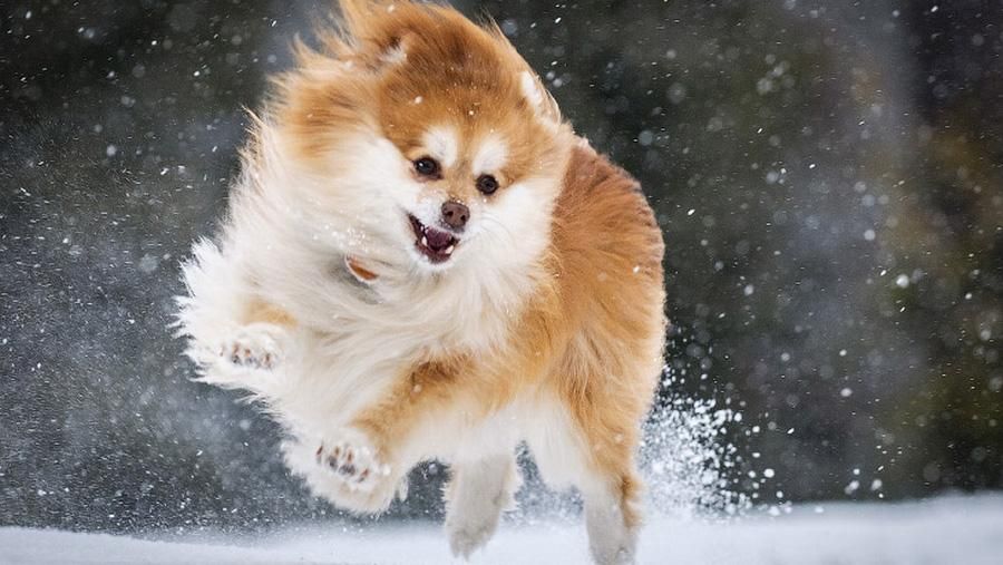 Погода 7 січня 2019 Україна - прогноз синоптиків Погода 7 січня 2019 Україна - прогноз синоптиків