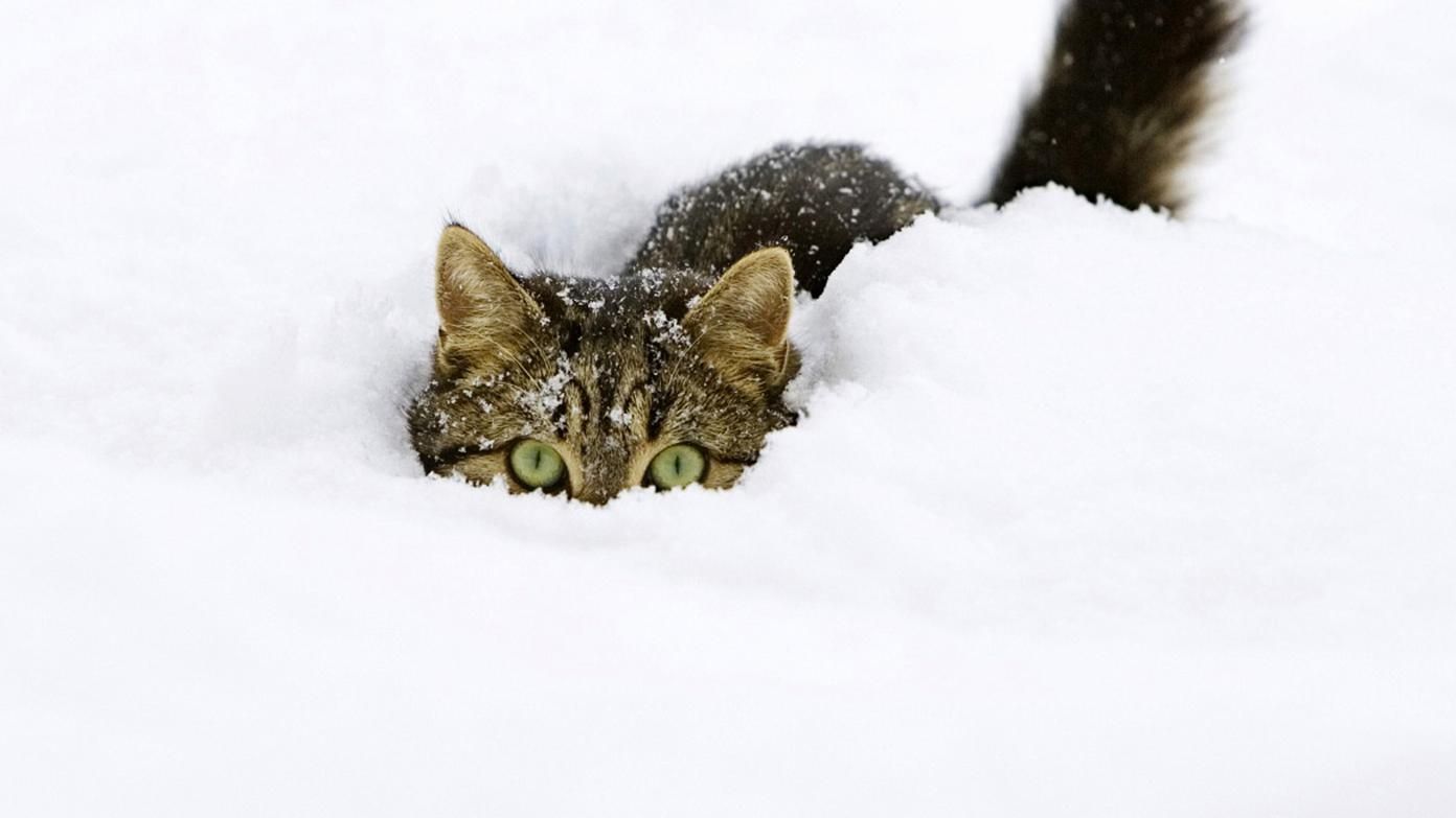 Погода 9 января 2019 Украина - прогноз синоптика Погода 9 января 2019 Украина - прогноз синоптика