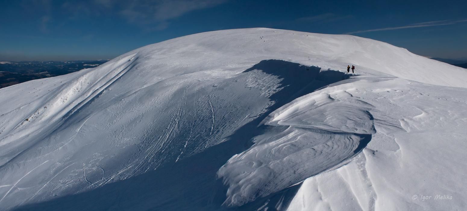 У ніч на Різдво у Карпатах заблукали туристи: їх досі шукають У ніч на Різдво у Карпатах заблукали туристи: їх досі шукають