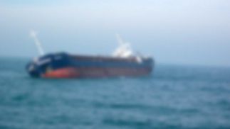 Кто еще, кроме украинцев, находился на борту затонувшего у берегов Турции судна