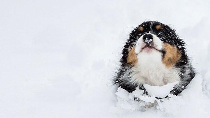 Погода 10 января 2019 Украина - прогноз погоды от синоптиков Погода 10 января 2019 Украина - прогноз погоды от синоптиков