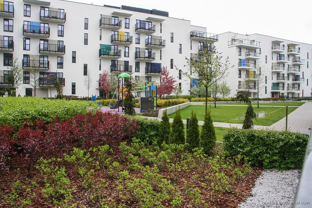 В Україні пропонують запровадити обов'язкове озеленення вулиць та доріг В Україні пропонують запровадити обов'язкове озеленення вулиць та доріг