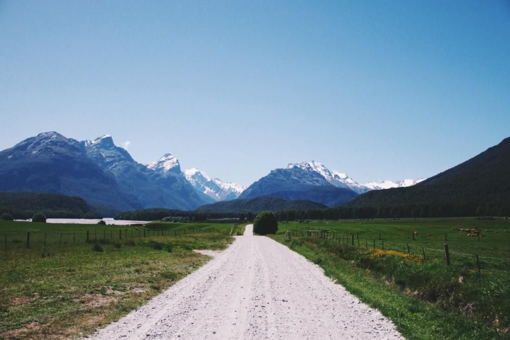 Запутались в гирляндах: десятки птиц в Новой Зеландии погибли из-за новогодних декораций Запутались в гирляндах: десятки птиц в Новой Зеландии погибли из-за новогодних декораций