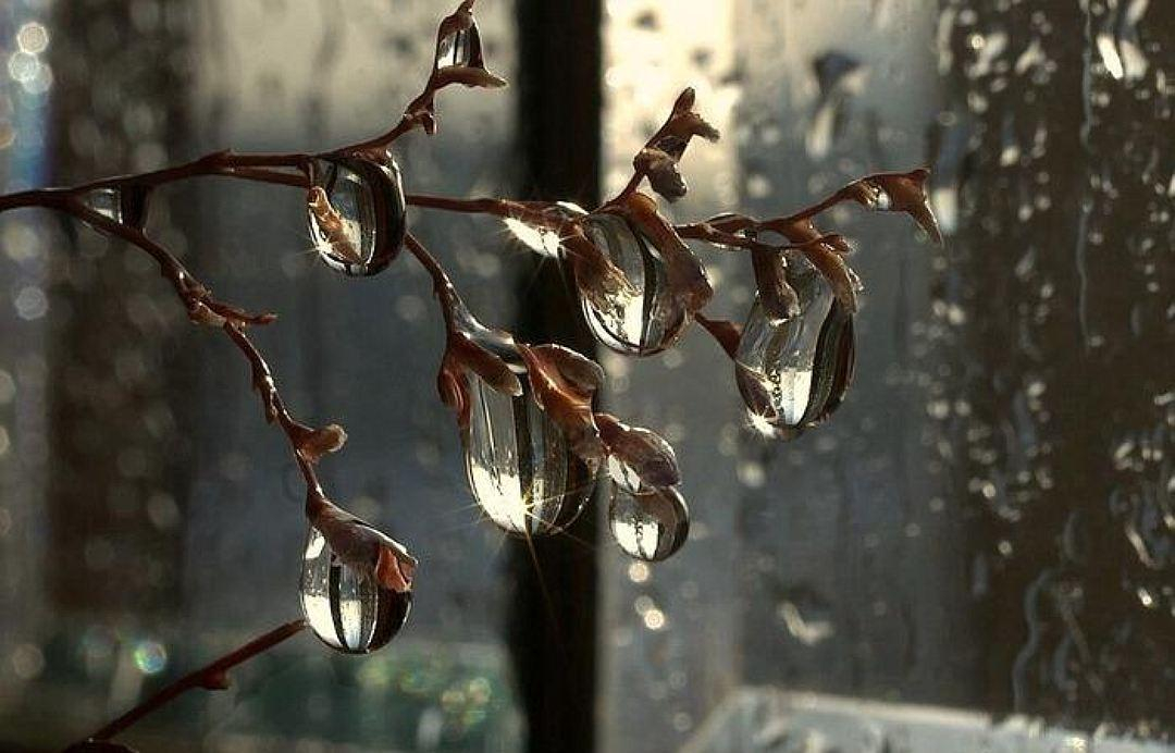 Погода 14 января 2019 Украина: прогноз погоды от синоптика