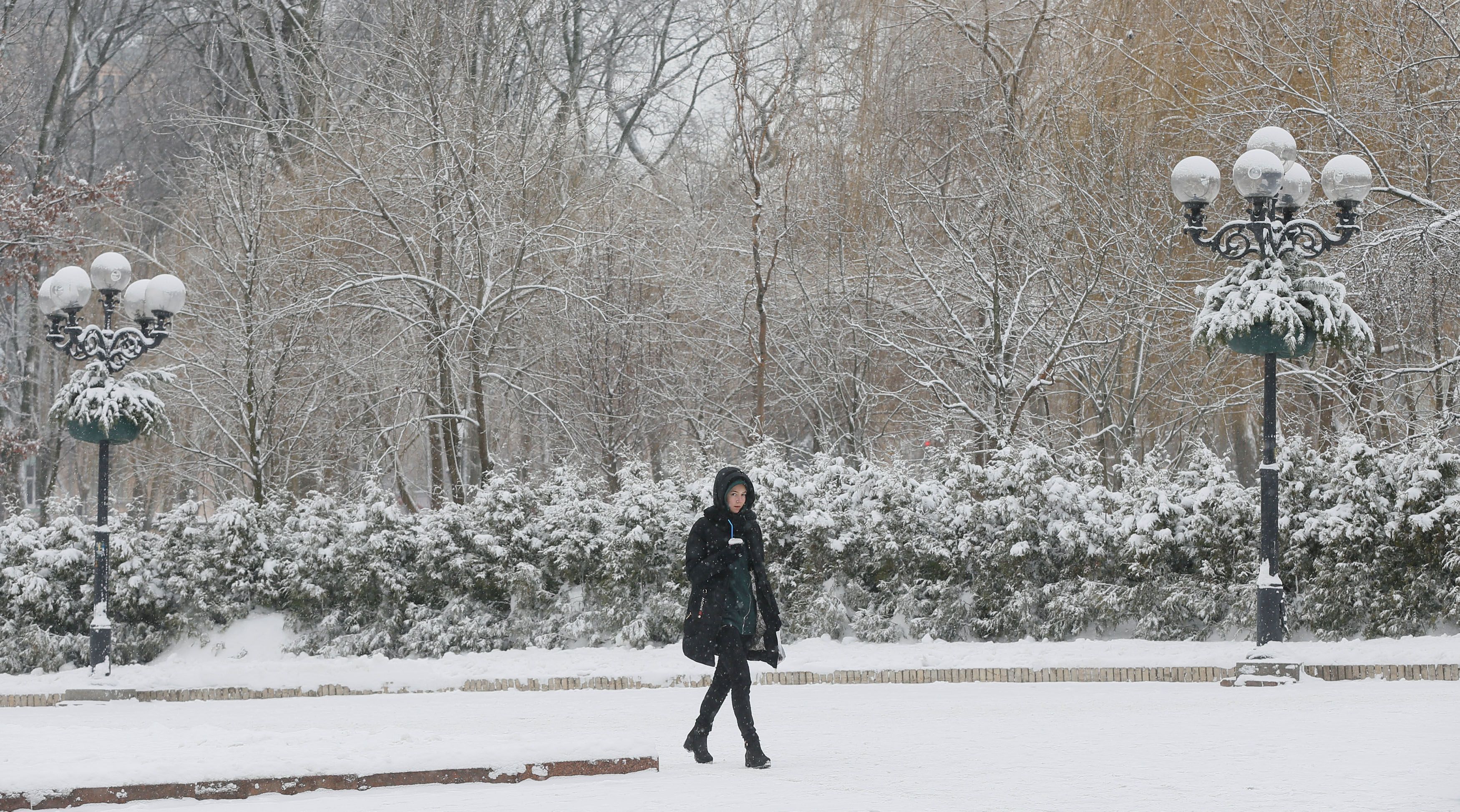 Погода 12 января 2019 Украина: прогноз погоды от синоптика