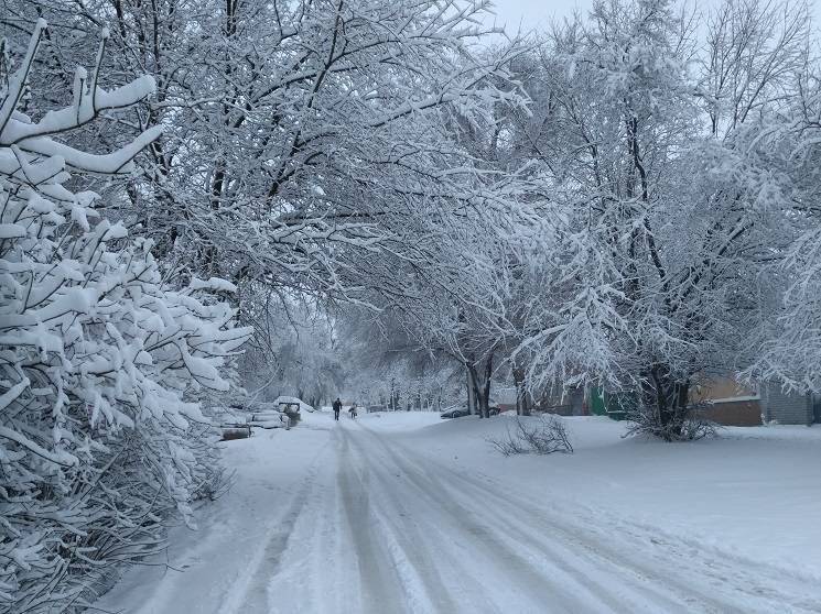 Мороз до -30: синоптик розповів, коли в Україні різко похолодає
