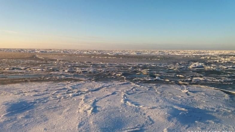 Азовское море покрылось льдом: красноречивое видео