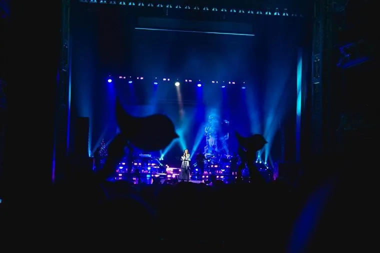 тіна кароль тіна кароль