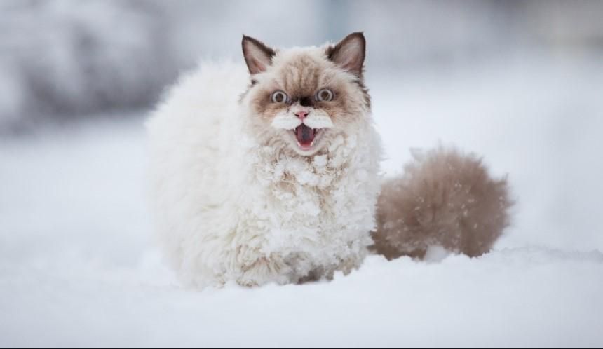 Погода 16 січня 2019 Україна: прогноз погоди від синоптика Погода 16 січня 2019 Україна: прогноз погоди від синоптика