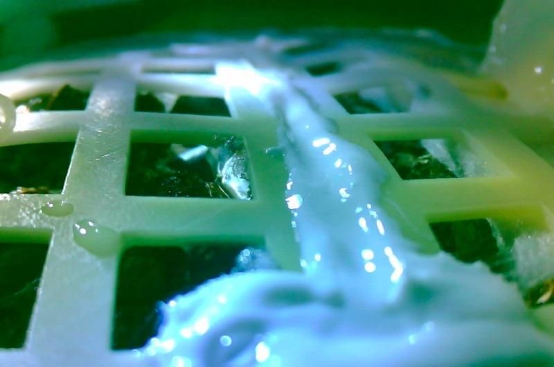 Китайский зонд "Чанье-4" вырастил хлопок на Луне Китайский зонд "Чанье-4" вырастил хлопок на Луне