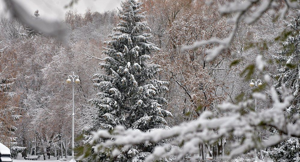 Погода 18 січня 2019 Україна: прогноз погоди від синоптика Погода 18 січня 2019 Україна: прогноз погоди від синоптика