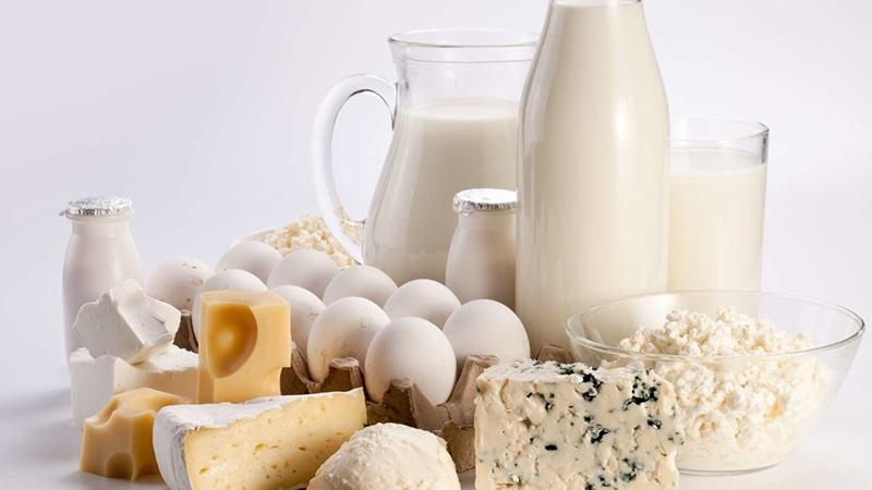 Украина вошла в ТОП-10 экспортеров молочной продукции