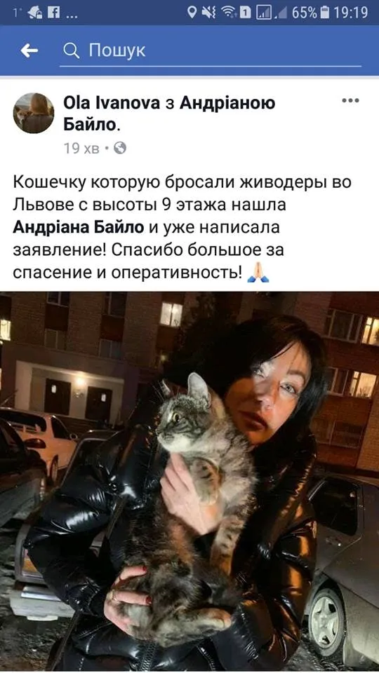 кіт Львів знущання над котом