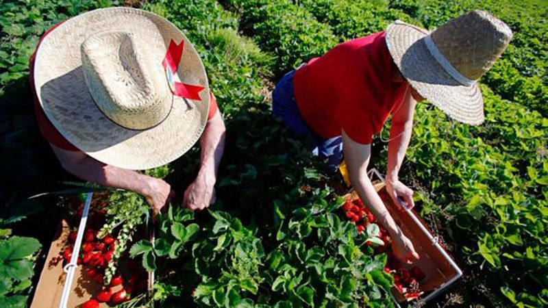 Скільки українців нелегально працюють у Польщі: дані Мінсоцполітики Скільки українців нелегально працюють у Польщі: дані Мінсоцполітики