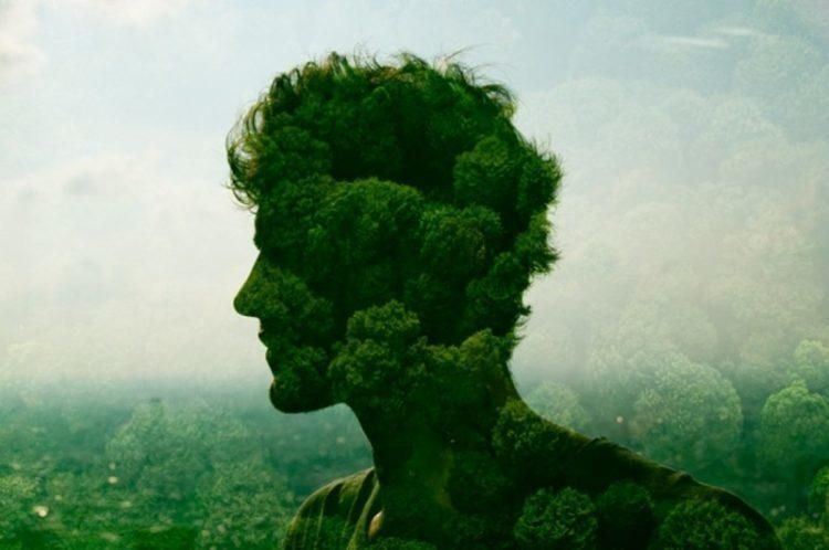 У світовій політиці тема екології вже стала зброєю, на черзі Україна, – Єрмолаєв У світовій політиці тема екології вже стала зброєю, на черзі Україна, – Єрмолаєв