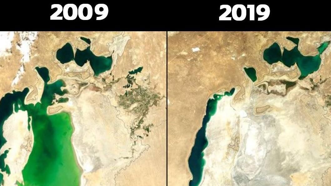 Экологи показали свой #10YearChallenge: как изменилась природа за последние 10 лет