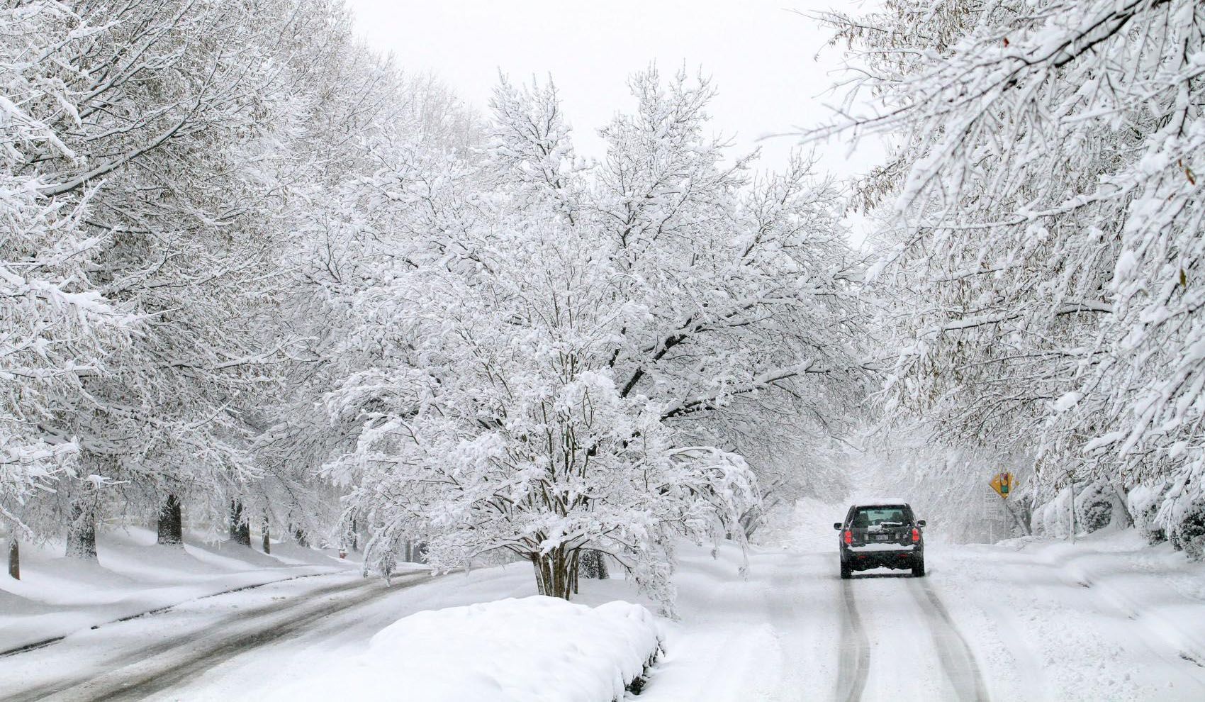 В Украину возвращаются снегопады и метели: какие области накроет непогода    