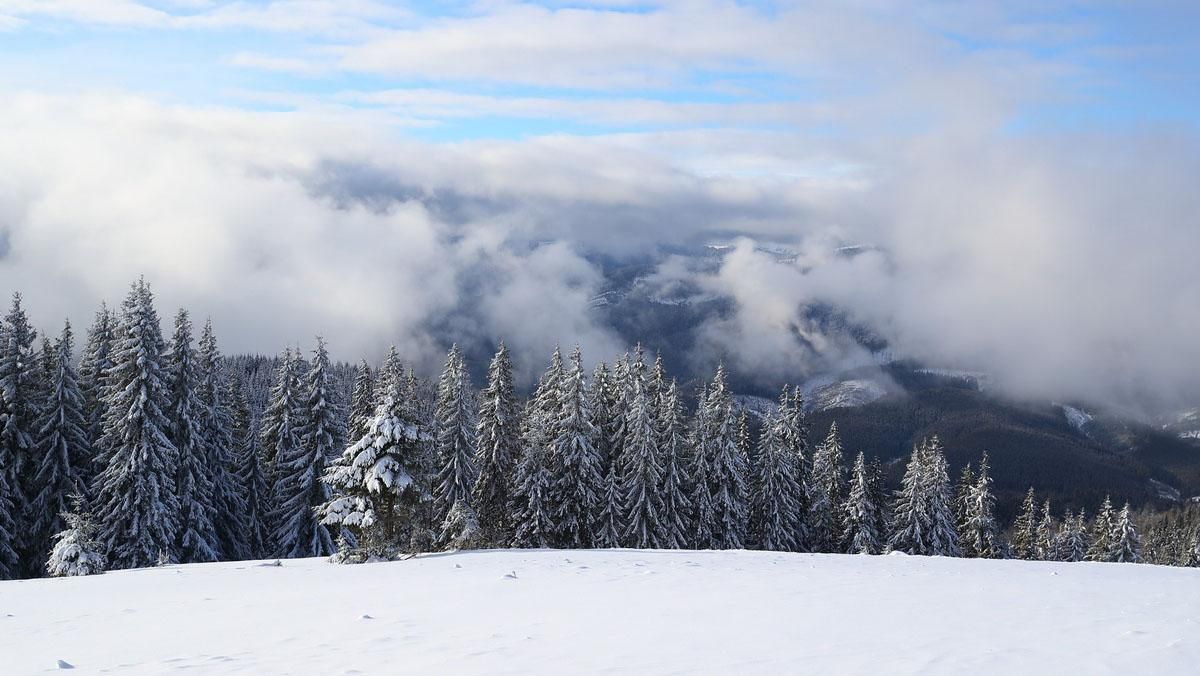 У Карпатах випало понад 2 метри снігу: неймовірні фото та відео У Карпатах випало понад 2 метри снігу: неймовірні фото та відео
