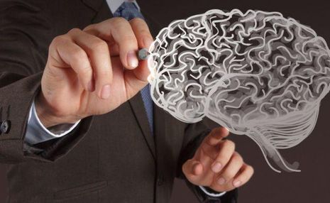 Умственные способности человека зависят от жиров в тканях мозга: исследование