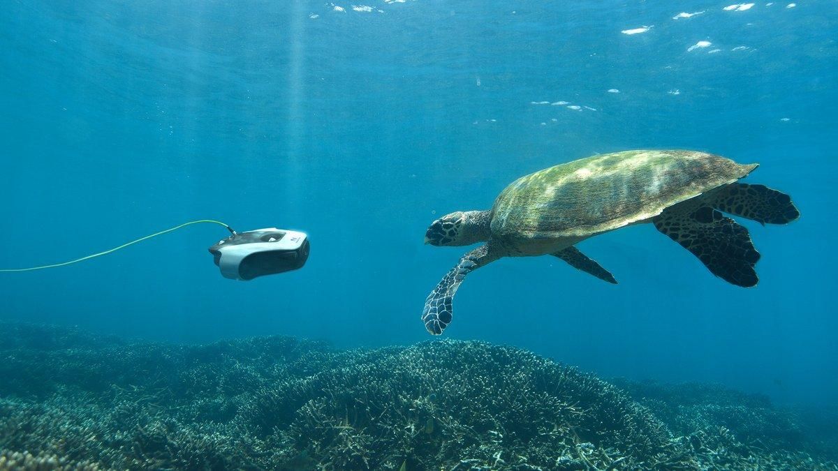 Для фанатов морских глубин: команда Navatics создала уникальный подводный дрон