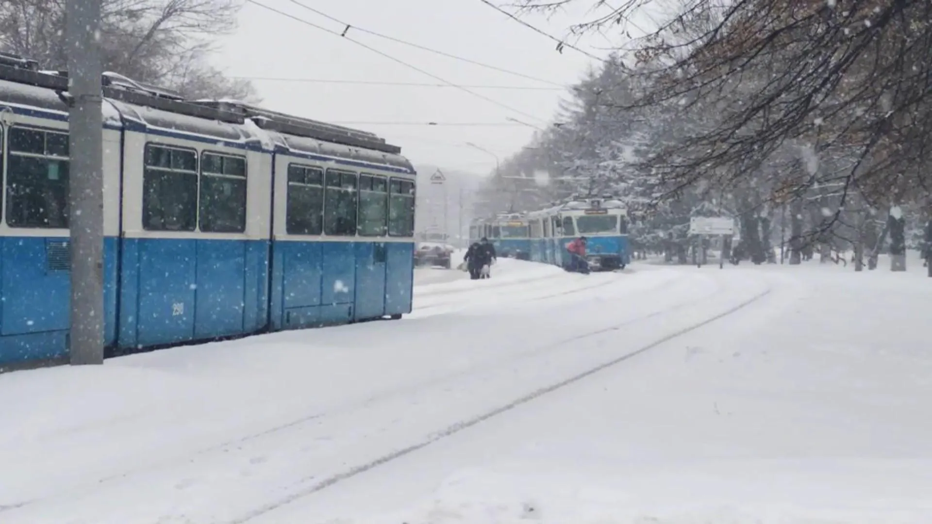 Сніг у Вінниці